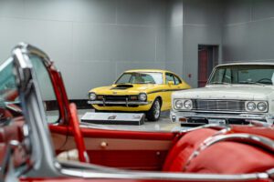 Small Block Muscle